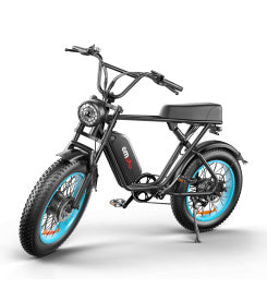 C91-20 Inch Dual-drive High-speed Electric Bike null