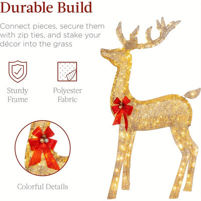 Golden Christmas Reindeer Set - 3-Piece Holiday Decoration null