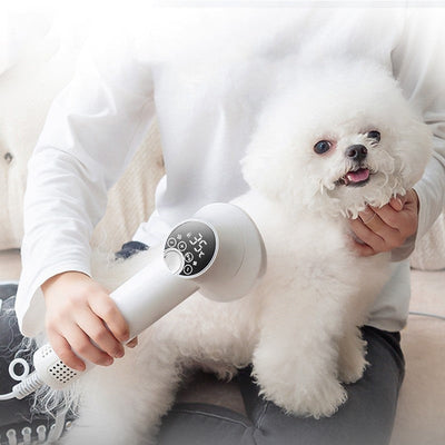 Smart Pet Hair Dryer Dog Golden Retriever Cat Grooming Hairdressing Blow & Comb Silent No Harm Pet Cleaning Supplies Pet Products null