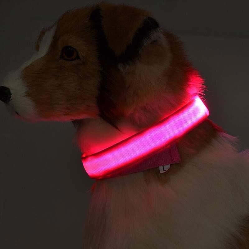 Nylon LED Pet Dog Luminous Collar Night Safety Flashing Glow in Dark Dog Cat Leash Adjustable Pet Supplies null