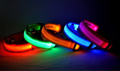 Nylon LED Pet Dog Luminous Collar Night Safety Flashing Glow in Dark Dog Cat Leash Adjustable Pet Supplies null