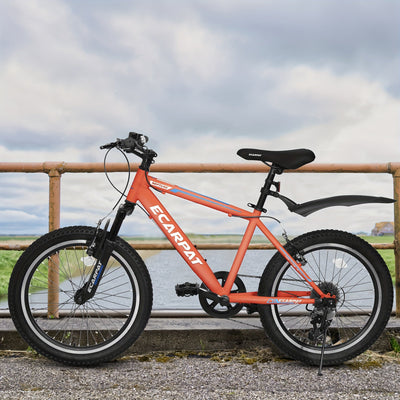 A20215 Kids Bicycle 20 Inch Kids Montain Bike Gear 7 Speed Bike For Boys And Girls null