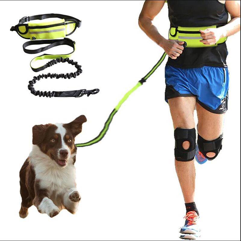 Hands Free Dog Leash Pet Walking And Training Belt With Shock Absorbing Bungee Leash For Up To 180lbs Large Dogs Phone Pocket And Water Bottle Holder Shoppers Synchrony