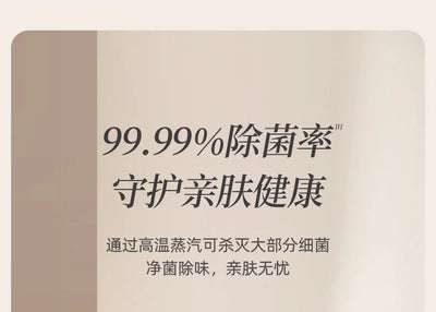 Hand-held ironing machine Household small portable electric iron Shoppers Synchrony