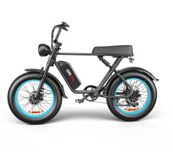 C91-20 Inch Dual-drive High-speed Electric Bike null