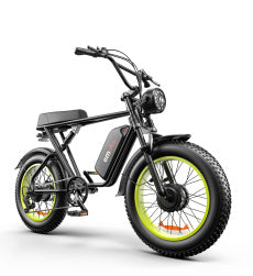 C91-20 Inch Dual-drive High-speed Electric Bike null