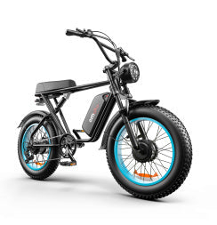 C91-20 Inch Dual-drive High-speed Electric Bike null