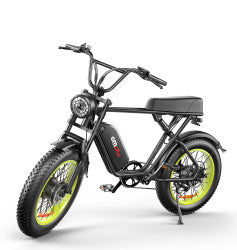 C91-20 Inch Dual-drive High-speed Electric Bike null