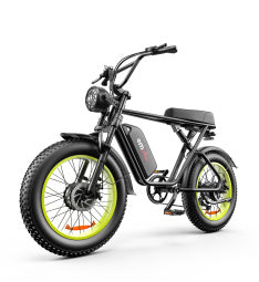 C91-20 Inch Dual-drive High-speed Electric Bike null