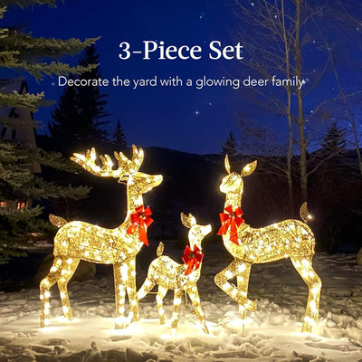 Golden Christmas Reindeer Set - 3-Piece Holiday Decoration null